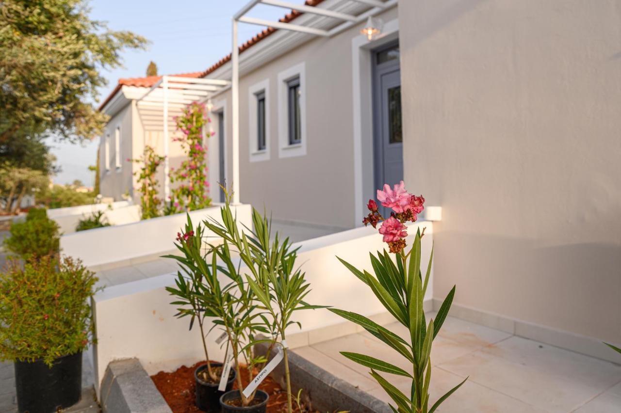 Dionisos Suites Lixouri Exteriör bild